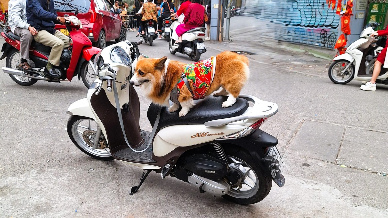 24 Stunden in Hanoi: Die besten Reisetipps