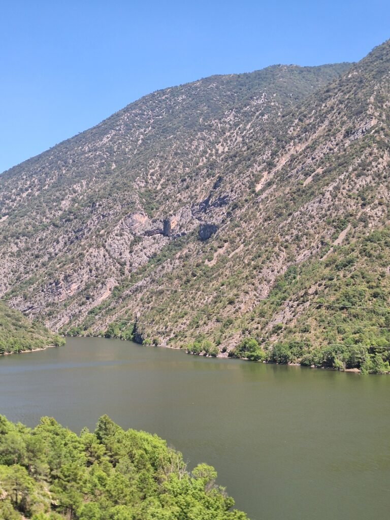 Aussicht Bus