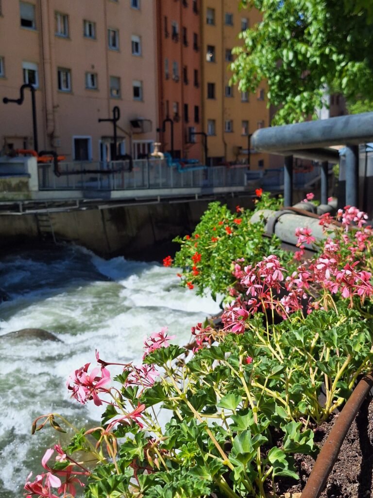 Pont d'Engordany